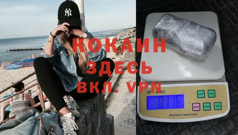 darknet телеграм  Анива  Кокаин Эквадор 