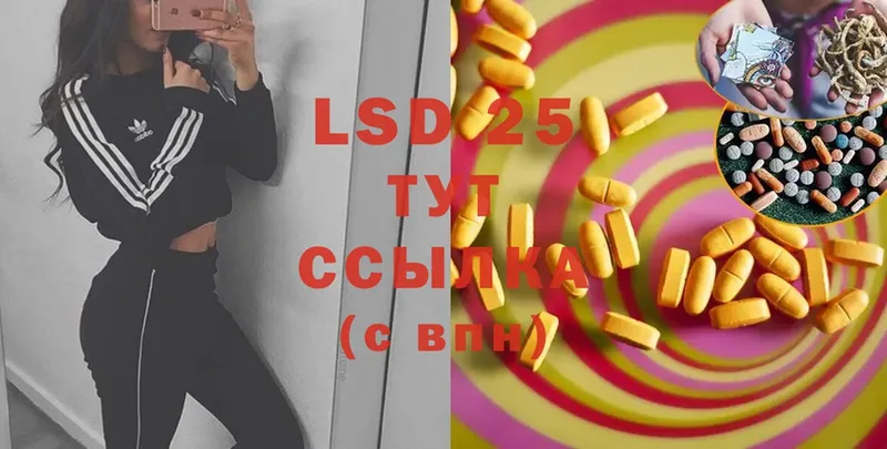 купить   Анива  LSD-25 экстази ecstasy 